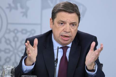 El ministro de Agricultura, Luis Planas, anunciando las medidas después del Consejo de Ministros. (Foto: Ministerio de Agricultura)