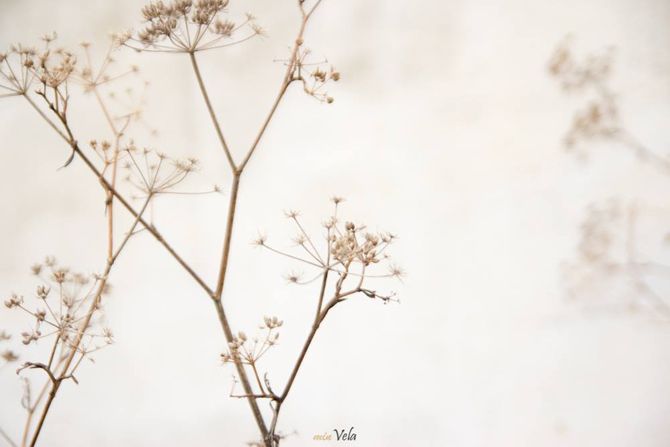 [Img #43550]