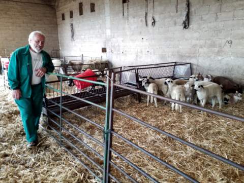 Domingo Carro en su explotación ovina de Pradorrey. Domingo Carro en su explotación ovina de Pradorrey.