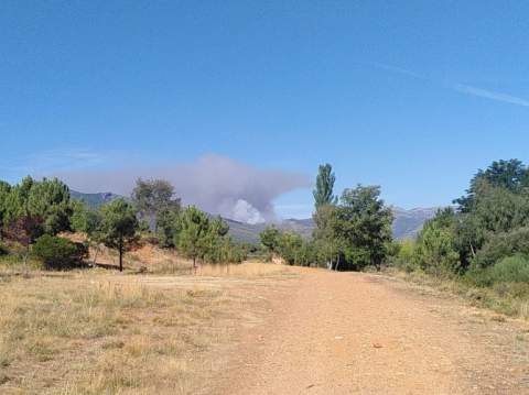 Estado del incendio este mediodía de jueves.