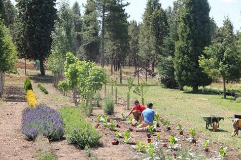El vivero provincial de la Diputación en San Cayetano, parte de las instalaciones donde hacían prácticas los alumnos de la antigua Escuela Taller de Medio Ambiente.