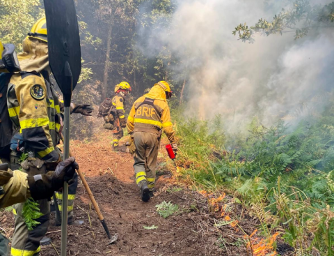 La brigada presencial de Brif trabajando en el flanco izquierdo del incendio de Brañuelas el pasado martes. / Twitter: @briftabuyo.