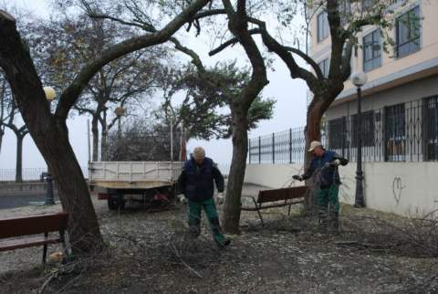 Foto de archivo de trabajadores municipales realizando podas en Astorga.