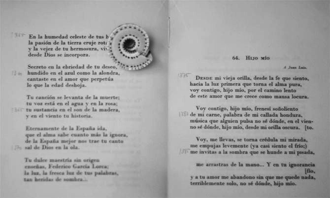 [Img #3084]