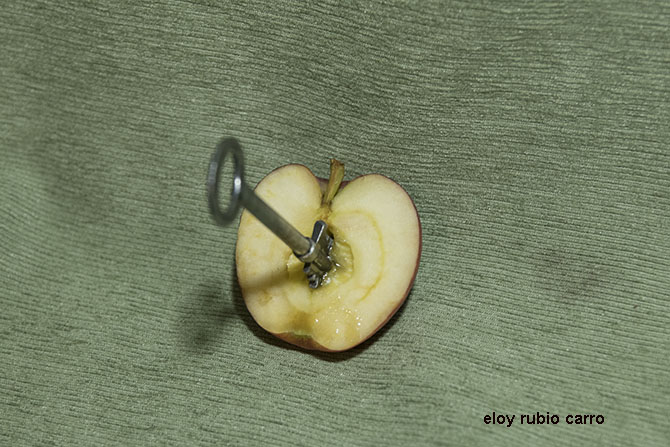 [Img #61829]
