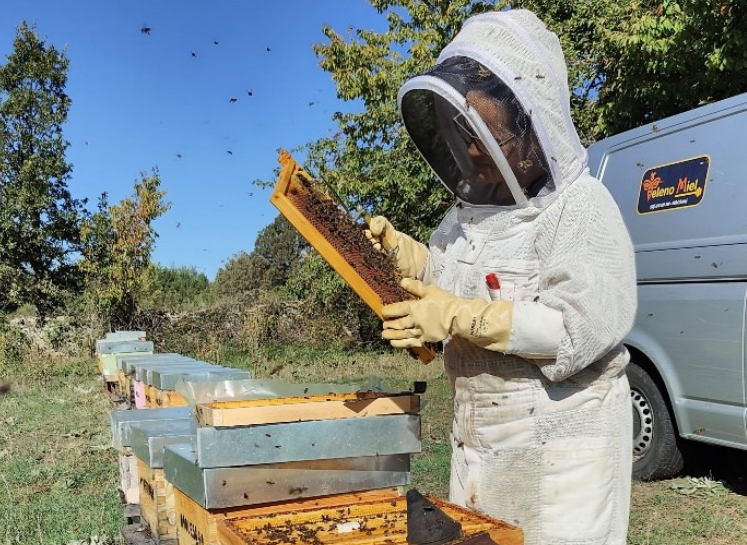La mejor miel de España se hace en los Montes del Teleno